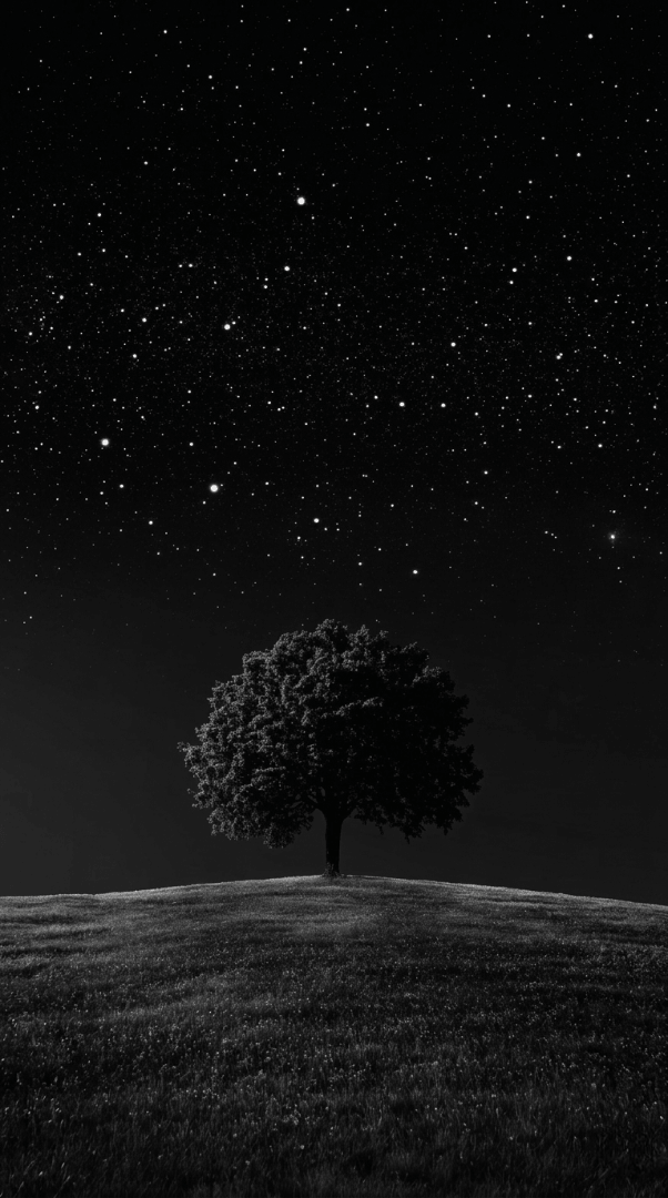 DARK TREE WALLPAPER 
