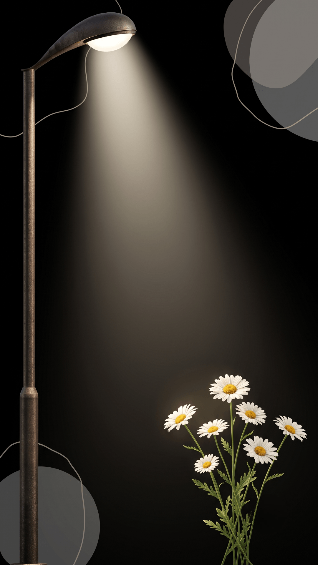night bright wallpaper