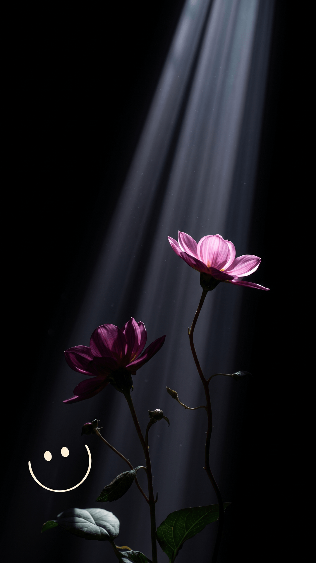 dark black