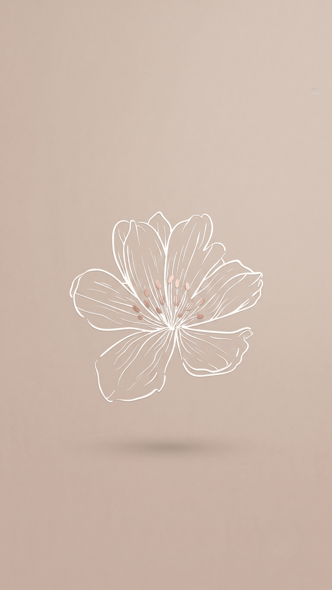 8k Minimalist Aesthetic Wallpapers