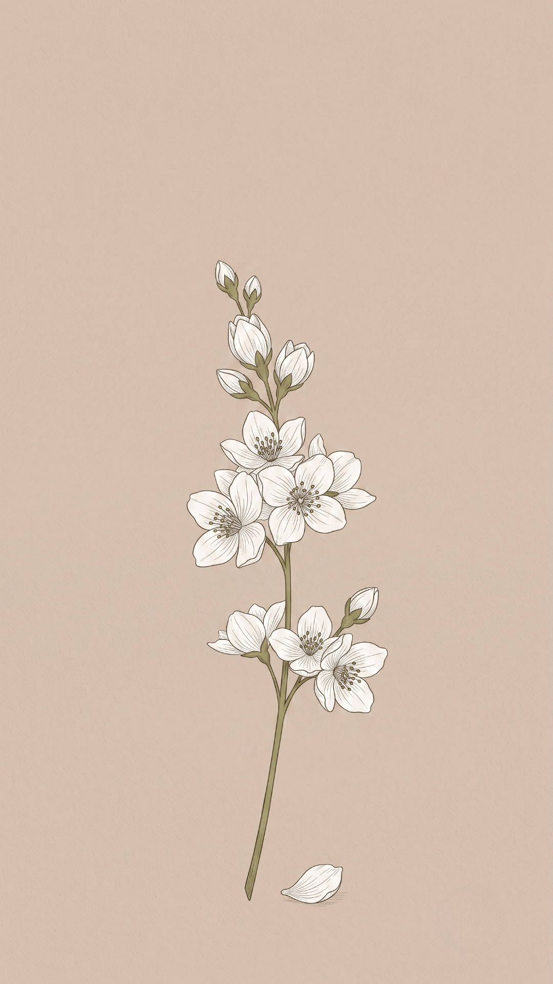 flower Minimalist Wallpapers