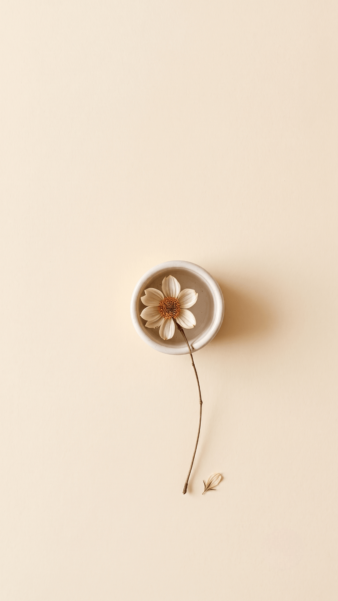 8k Aesthetic Wallpapers