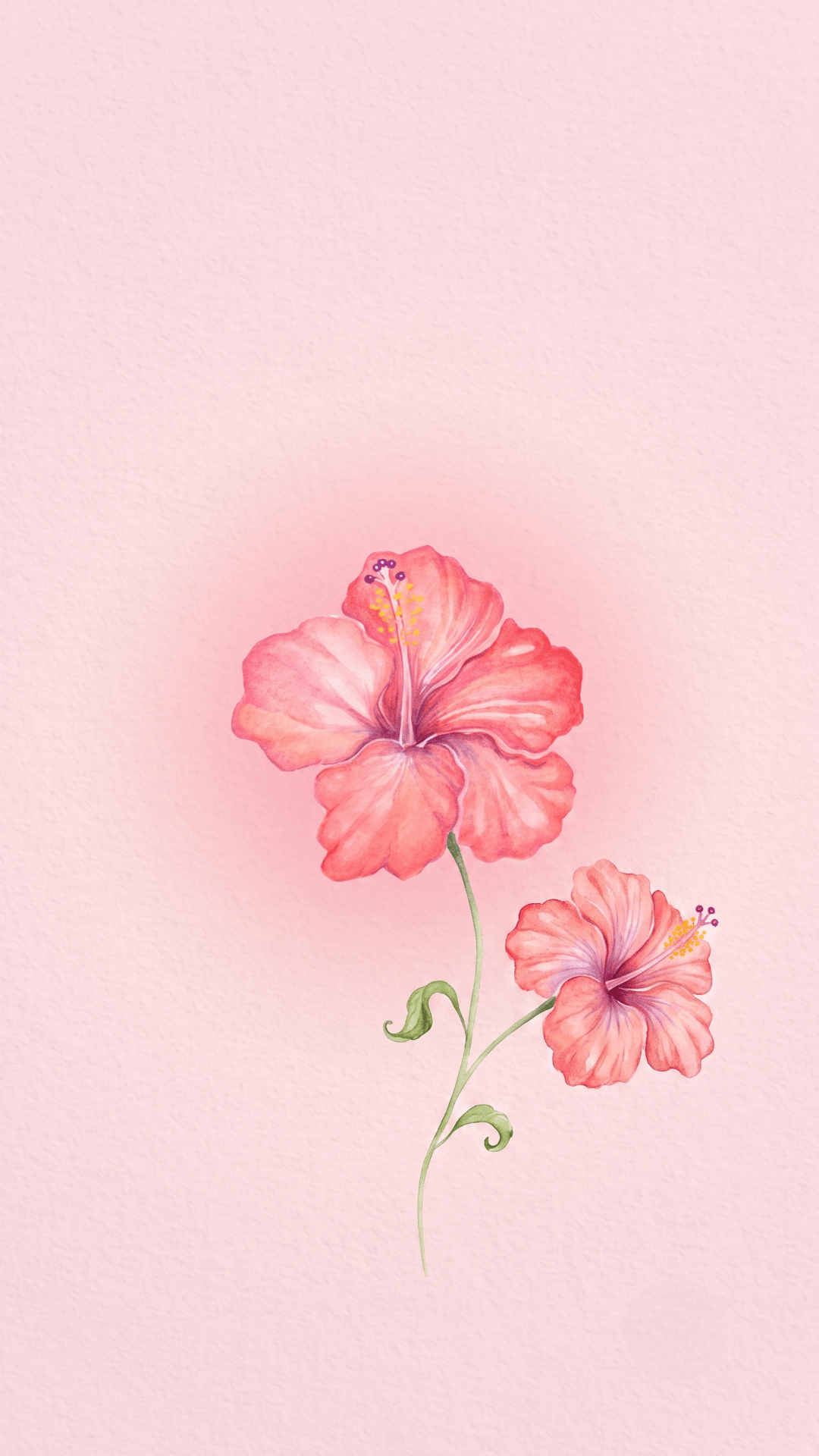 Summer Wallpaper For Phone Screen Wallpaper