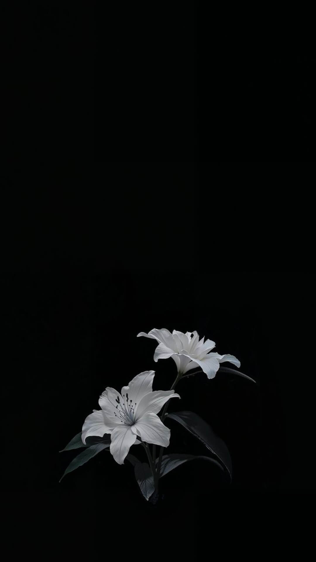 Amoled Wallpaper For Phone