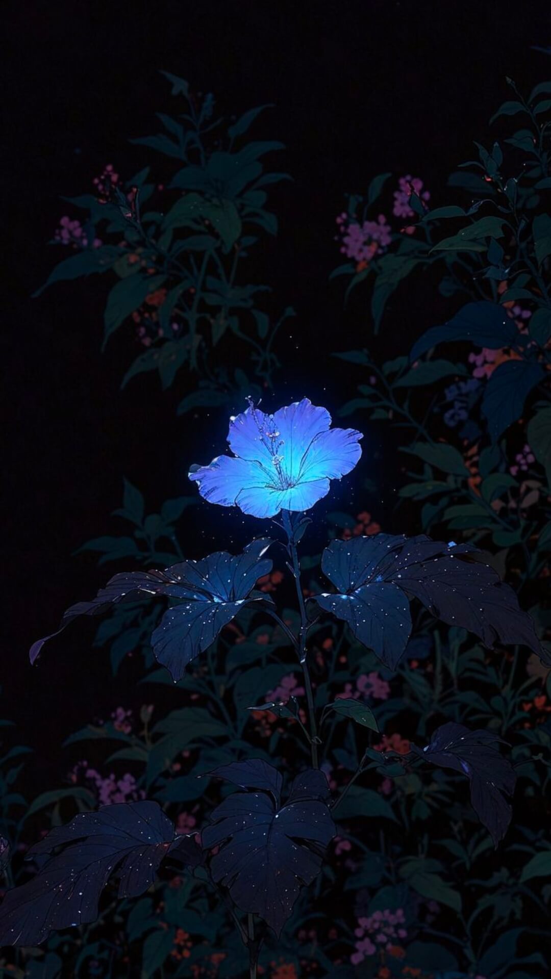 Amoled Wallpaper For Phone