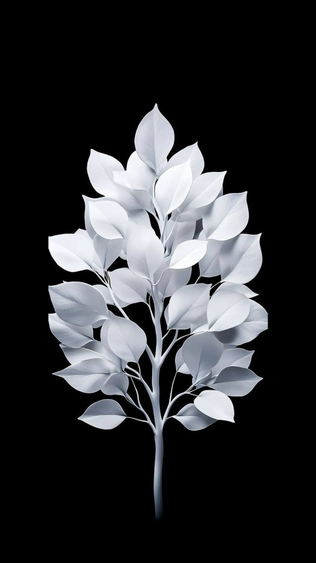 Amoled Wallpaper For Phone