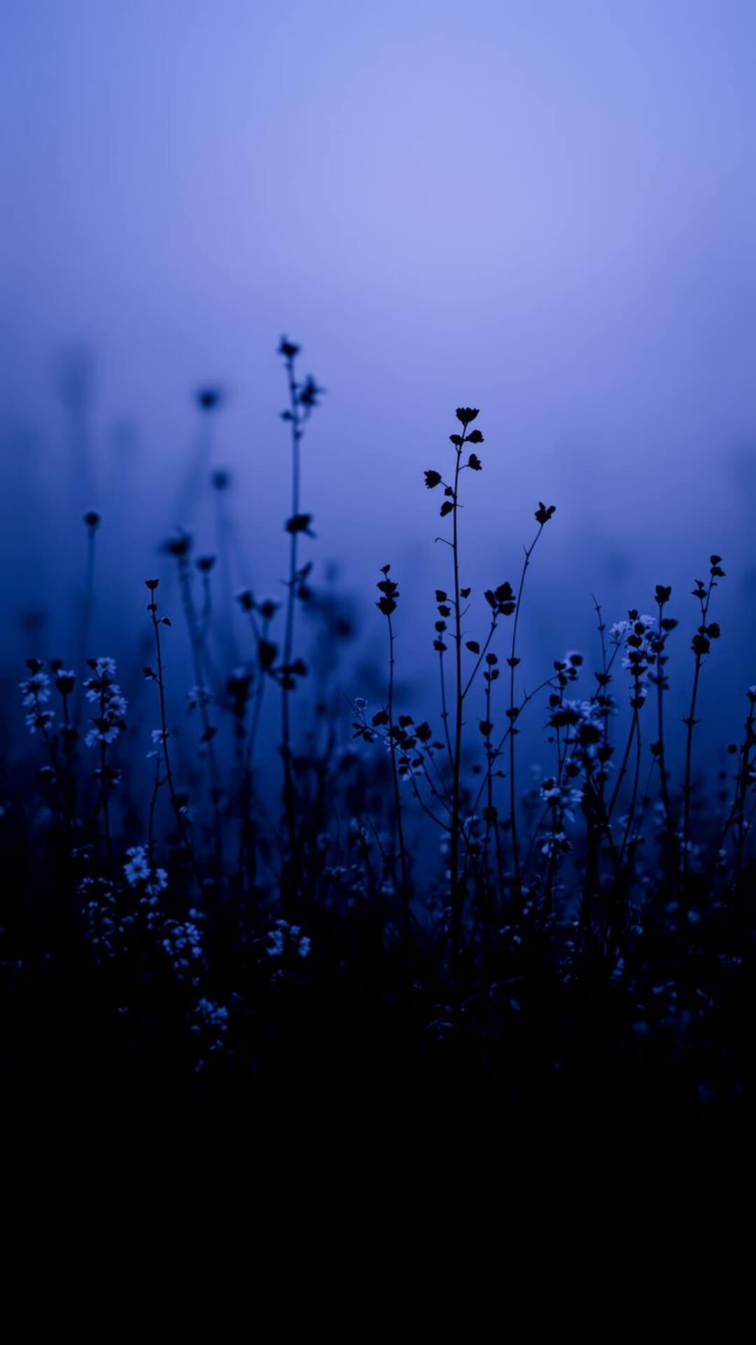 Amoled Wallpaper For Phone