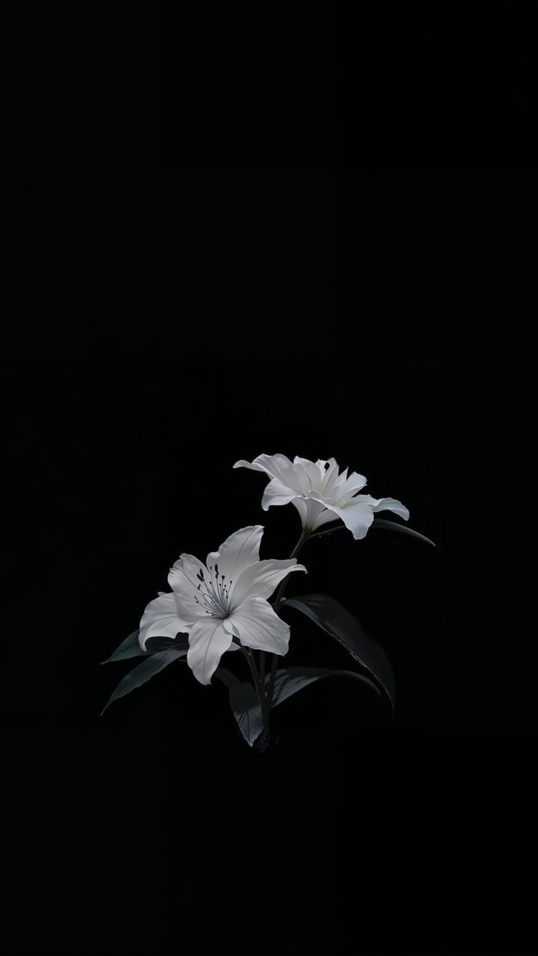 8K Dark Amoled Wallpaper