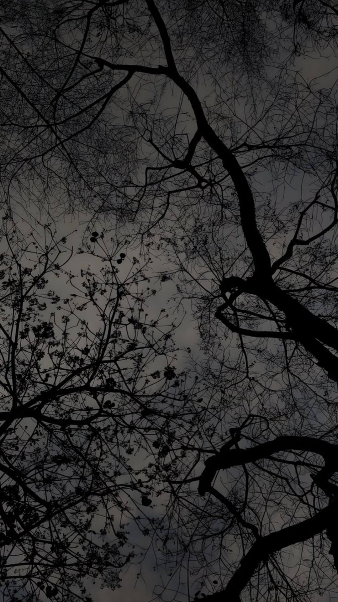8K Dark Amoled Wallpaper