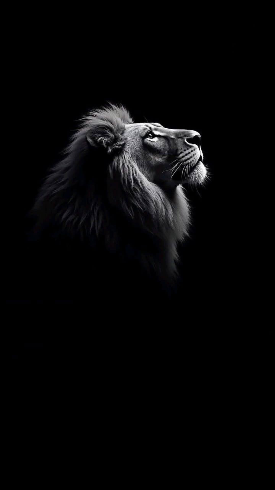 8K Dark Amoled Wallpaper