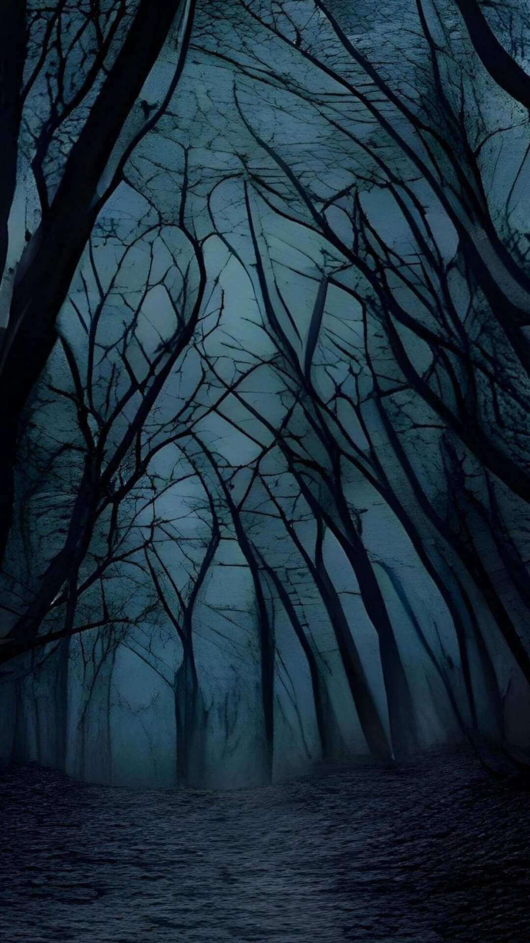Full 8K HD Wallpaper