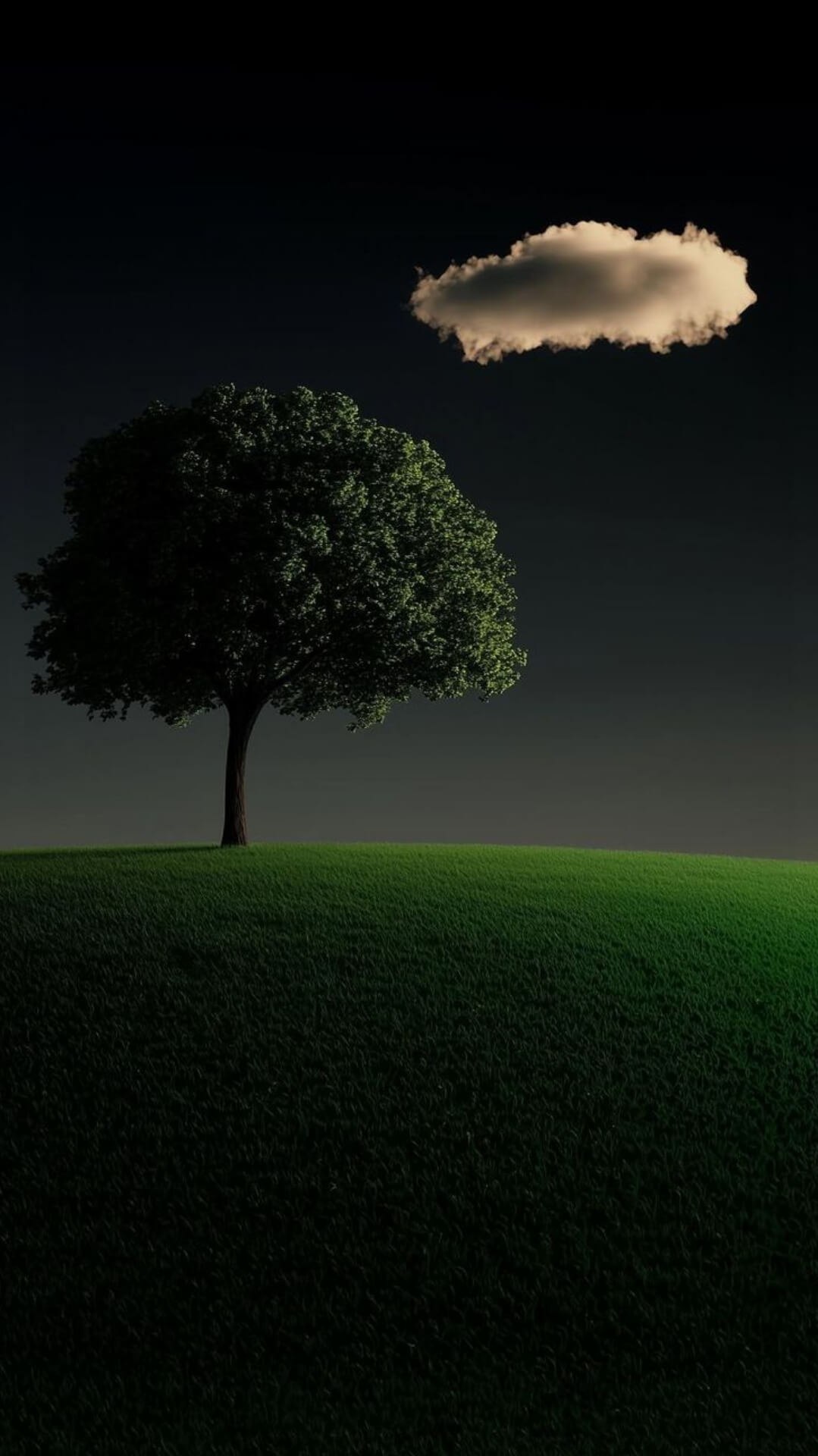 Full 8K HD Wallpaper