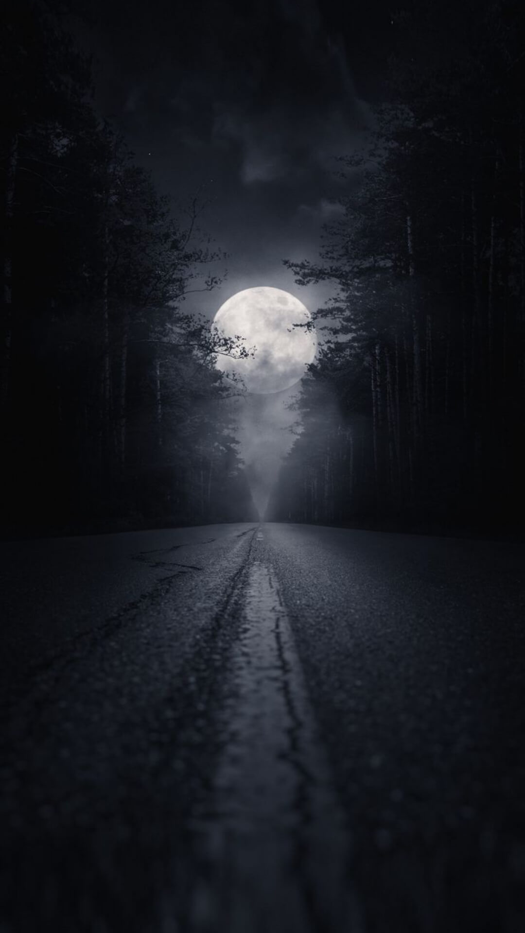Full 8K HD Wallpaper