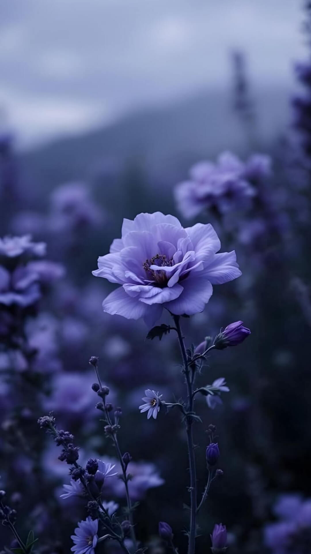 Full 8K HD Wallpaper
