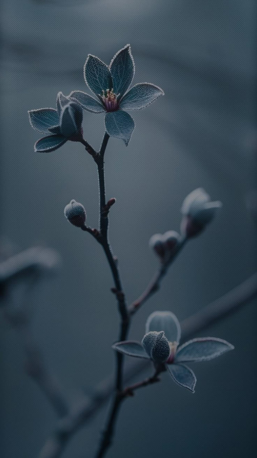 Full 8K HD Wallpaper