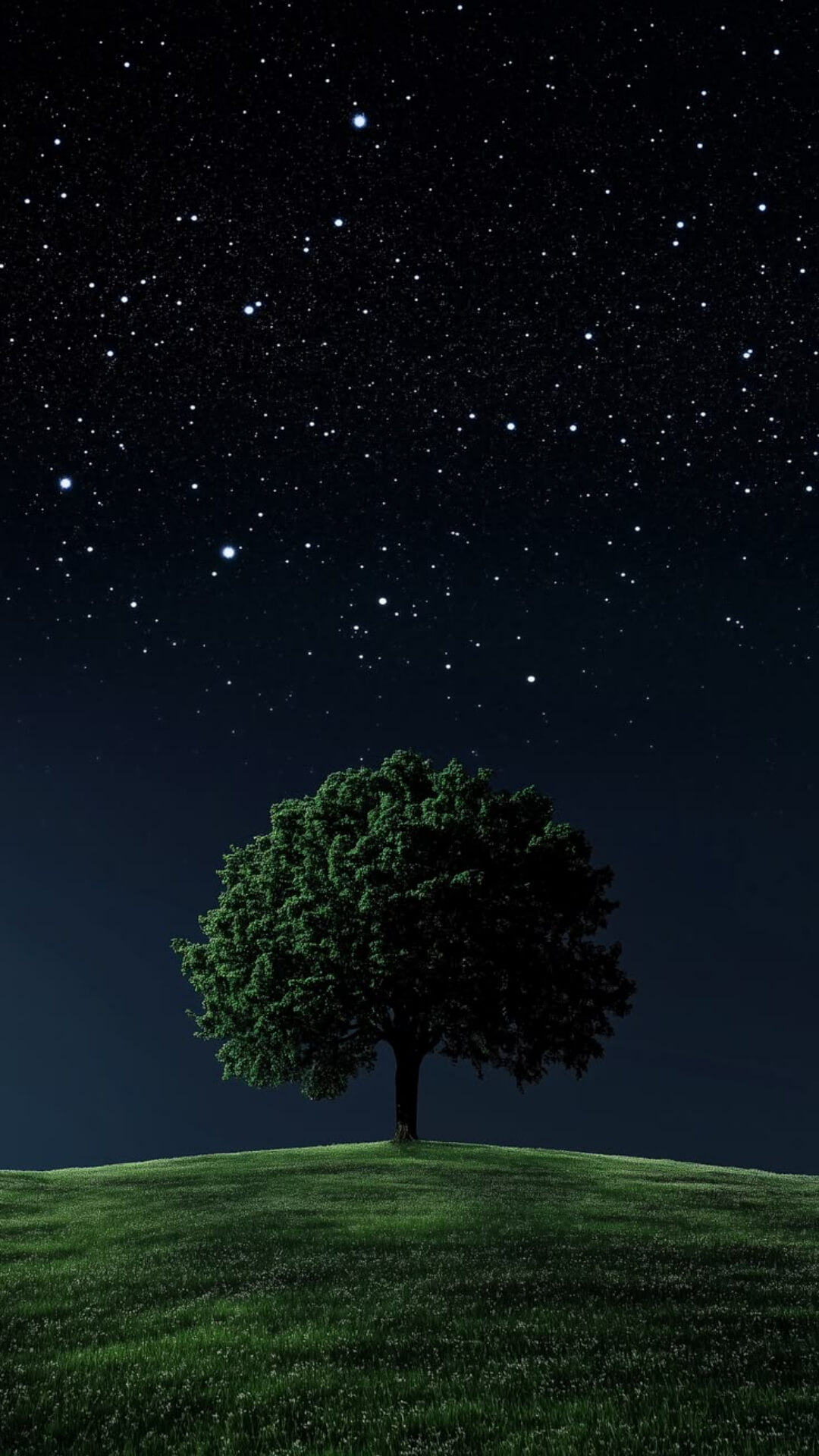 Full 8K HD Wallpaper