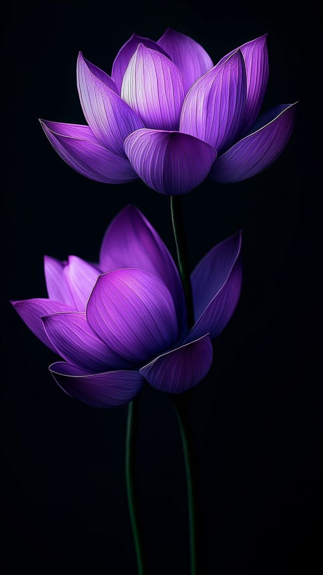Full 8K HD Wallpaper