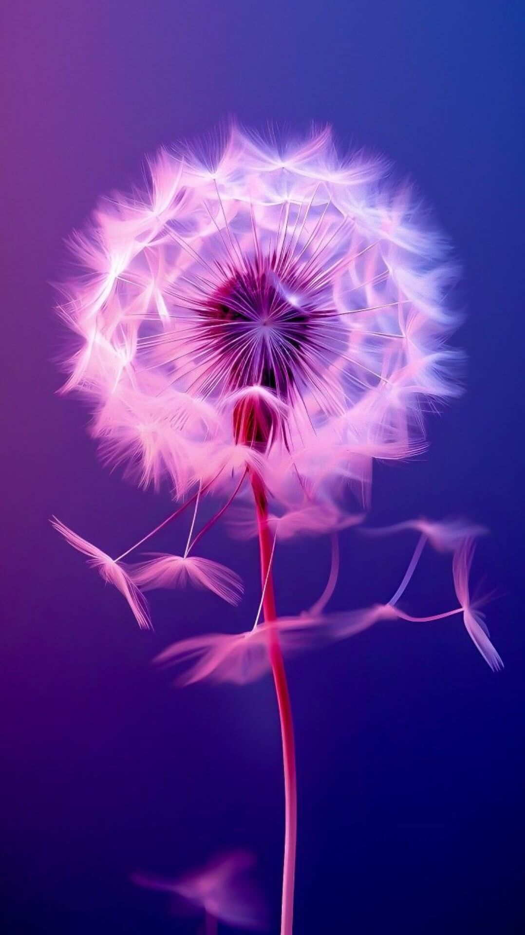 Full 8K HD Wallpaper