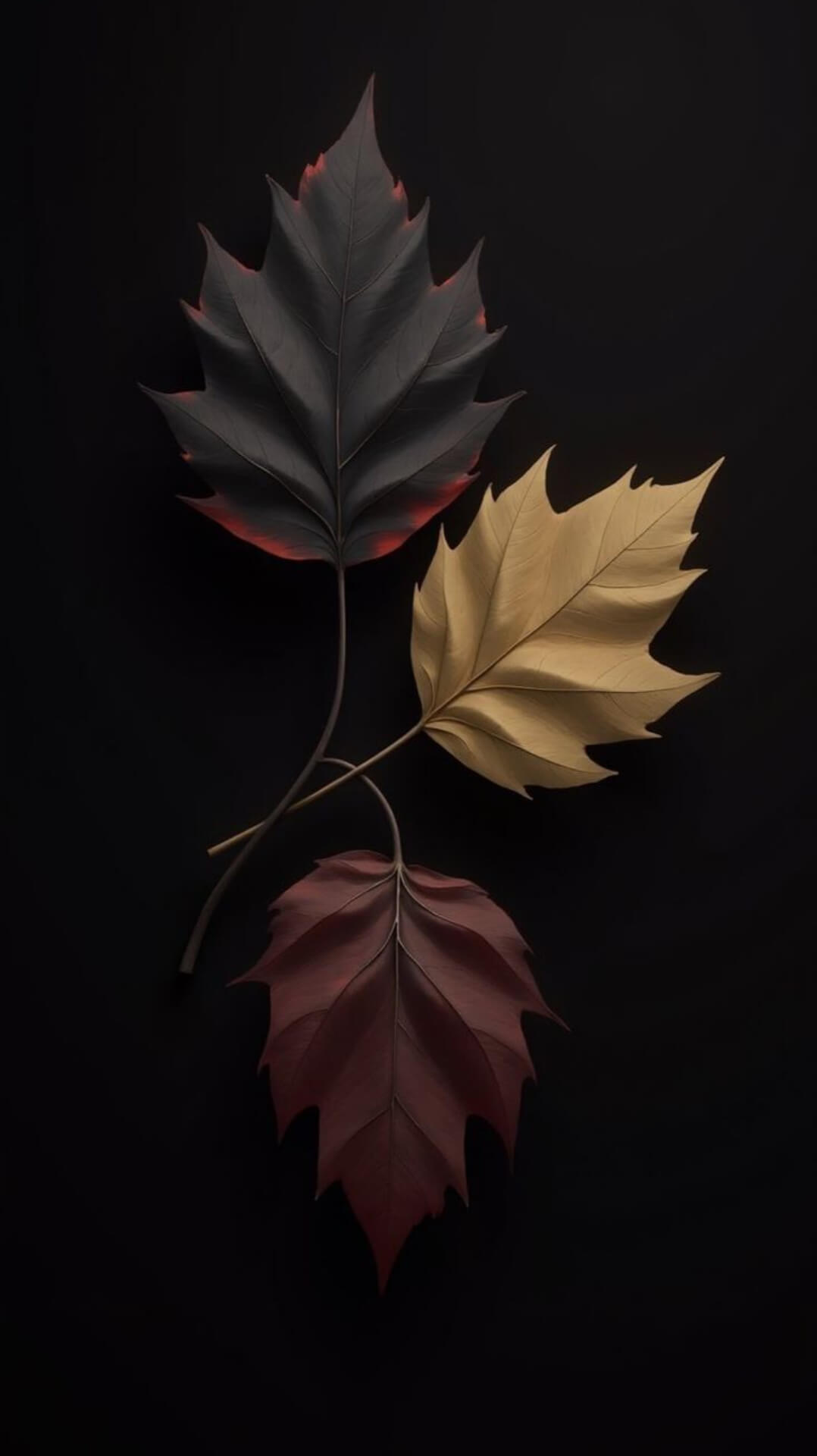 Amoled wallpaper For Iphone