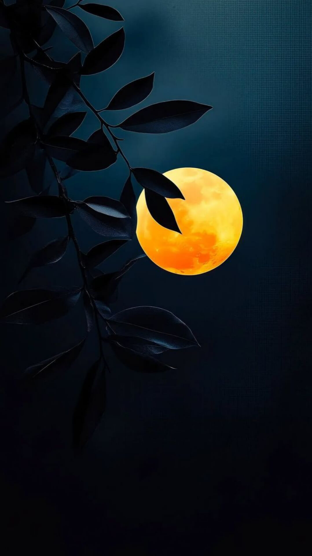Amoled wallpaper For Iphone