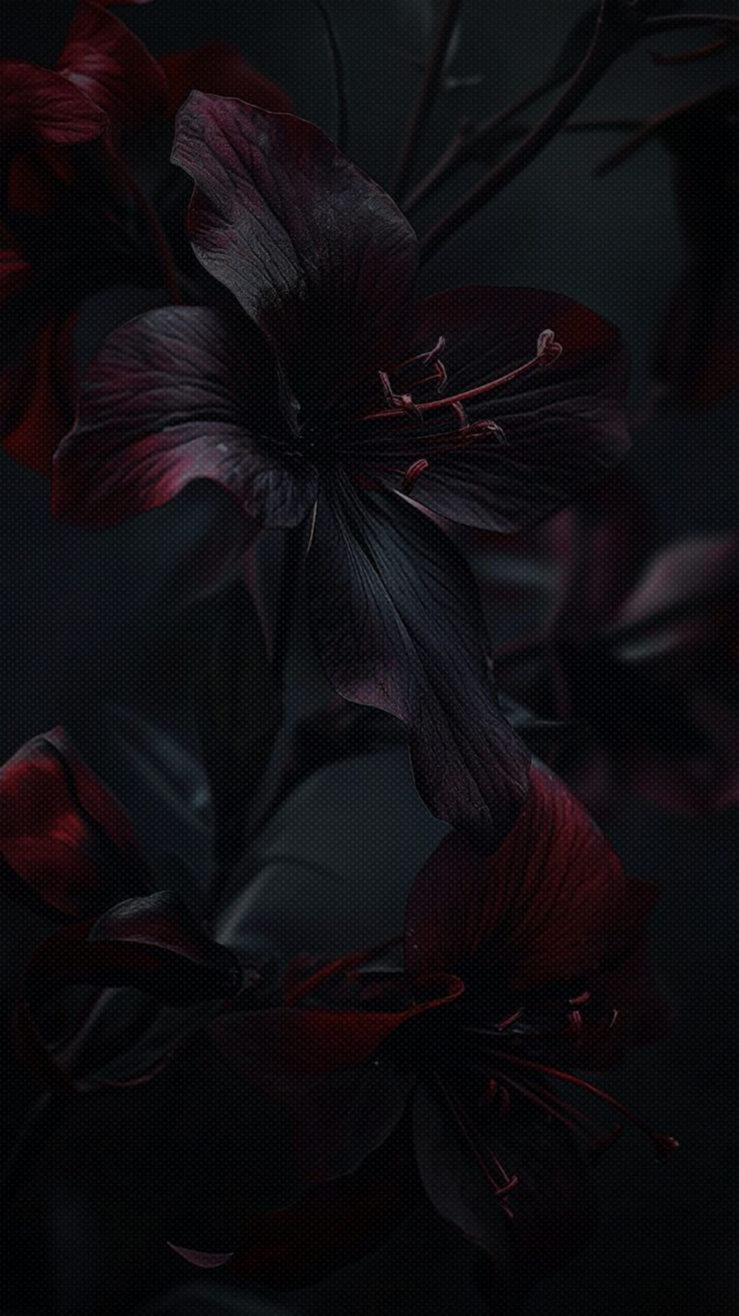 8K Red Black Wallpaper