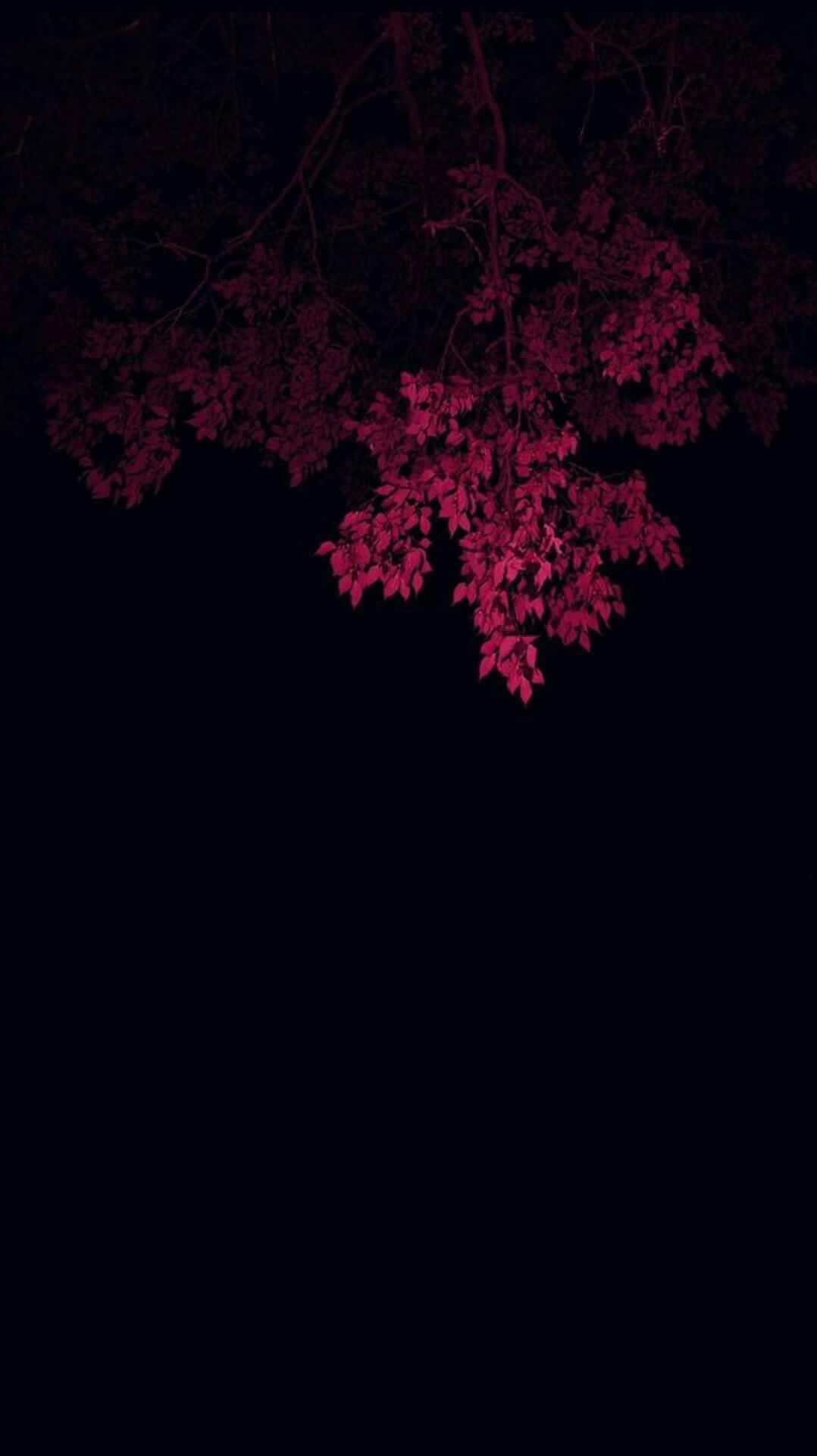 Red Black Wallpaper