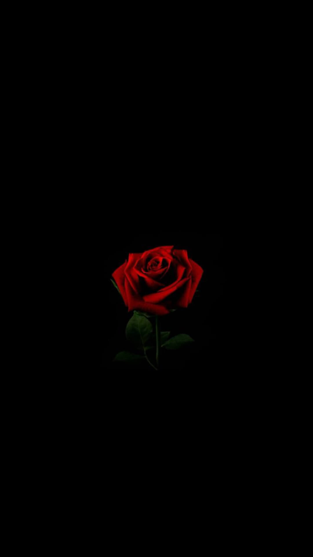 8K Red Black Wallpaper