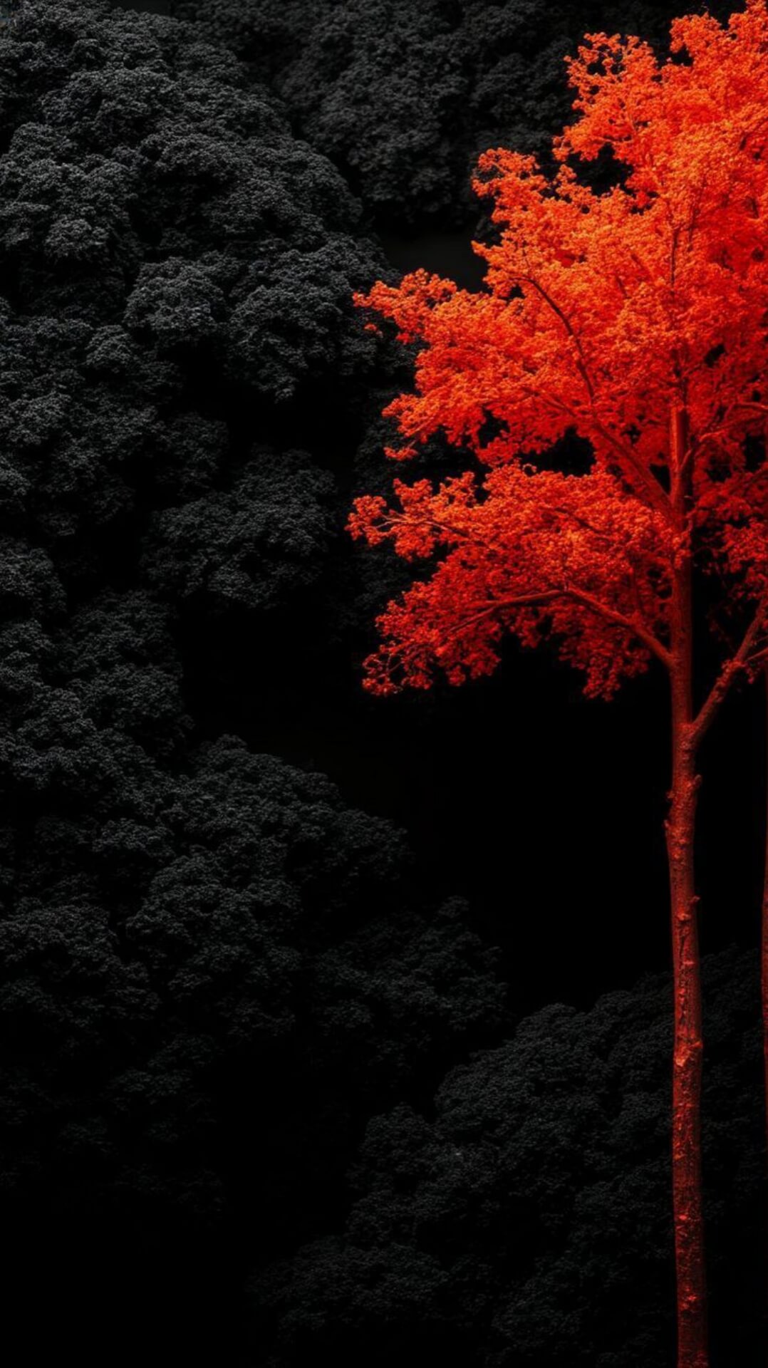 8K Red Black Wallpaper